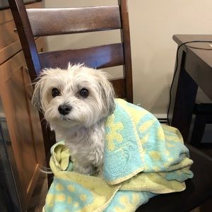 Meet your Posher, Donna